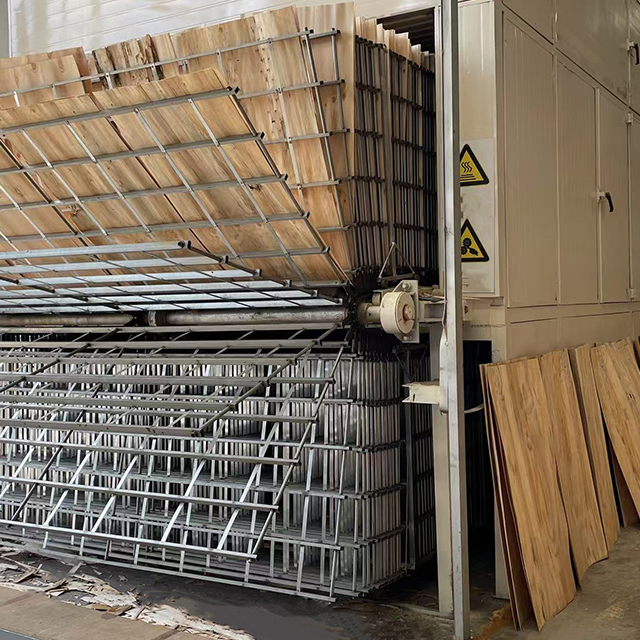 Veneer Dryer
