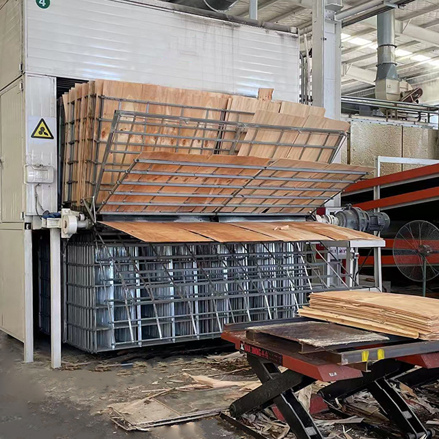 Veneer Dryer