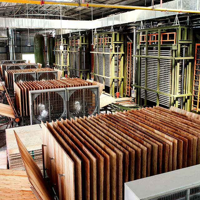 Plywood Hot Press