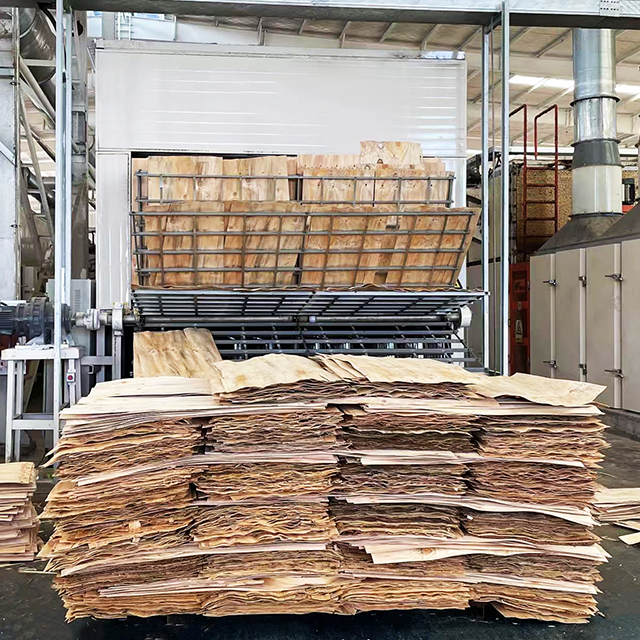Industrial continuous veneer dryer machine in a plywood manufacturing plant
